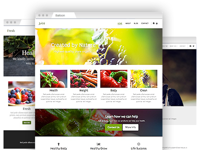 An assortment of easy to re–design website themes